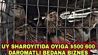 Oylavi Biznes Bedana Boqish Biznesi Palatirit Kasaliga Shifo Goshti