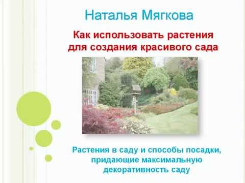 Комната в современном стиле тонкости оформления, фото-идеи Как сделать дизайн проект квартиры: оформление интерьера комнаты своими
