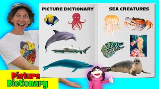 Sea Creatures | Picture Dictionary Song | Dream English Kids