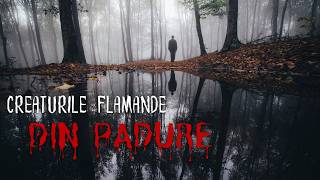 Filmari Stranii Cu Creaturi Misterioase Din Alta Lume Robertotrl