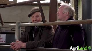 吉尔伦(Kilcullen)伦斯特(Leinster)的小贩对农民冠状病毒的看法。