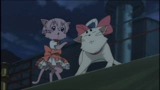 Kamichu- Cat Fight