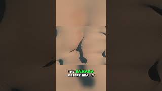 Sahara Desert Africas Geographic Isolation
