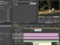 Adobe Premiere CS5 Mixing Music And Voice in Video Tracks