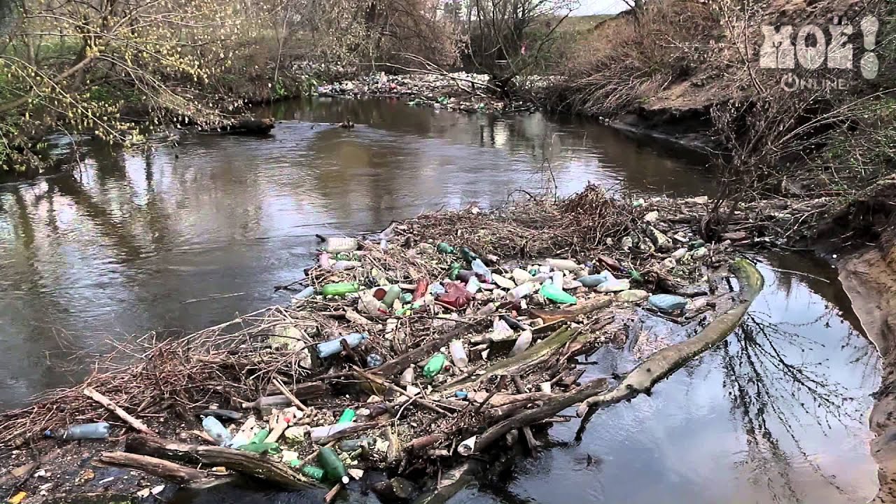 Поздравление с днем рождения крестной короткие Поздравление с днем рождения крестной короткие