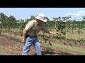 Dr. Arlie Powell Blackberry #2 Dr. Arlie Powell Blackberry #2