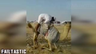 Arabic Funny  Collection || Failtastic 2017