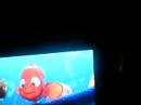 in the car, watching finding nemo