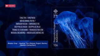 Immersion 136 Pragmatica Project Guest Mix November 2020 Video Version