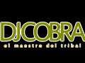 DJ COBRA   DUERMASE