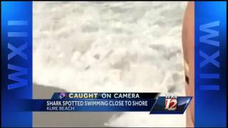 Caught On Camera Shark Spotted Near Kure Beach Shore