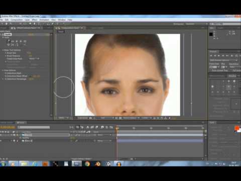 Re Flex Morph Plugin Free Download