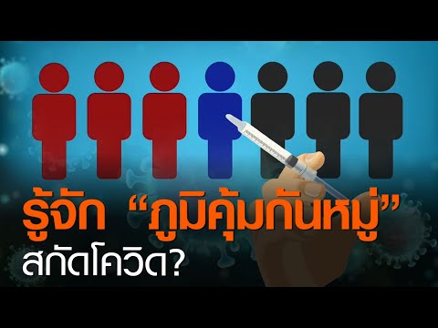 รู้จัก “ภูมิคุ้มกันหมู่” สกัดโควิด? | TNN ข่าวค่ำ | 13 ก.พ. 64