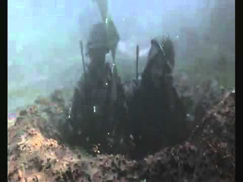 forrest gump vietnam war essay forrest gump vietnam war essay