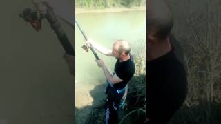 Baliq Ovu Turab Elcin Tisbaga Tutub