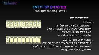 מה הבעיה בקודק h264