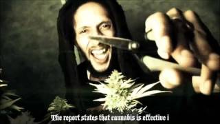 Watch Julian Marley Boom Draw video
