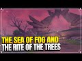 The Sea of Fog and the Rite of the Trees | Through the Mists 3 | World Quests |【Genshin Impact】