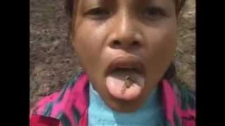 Best Most Amazing Thailand Asian Ny Jungle Girl Eats Live Big Insects
