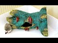 hedgehog