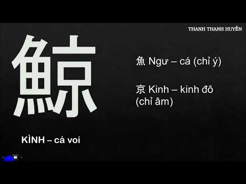 ỨNG DỤNG LỤC THƯ HỌC NHANH 2000 KANJI VÀ 10.000 TỪ VỰNG-Thanh Thanh Huyền (N1 178/180 điểm)