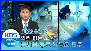 의리 없는 도둑…몸싸움 동료 놔두고 도주 / KBS AMERICA 2022. 05. 13