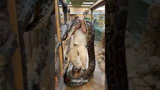 Incredible Animal Transformation