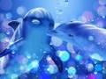 The beauty of Dolphins The beauty of Dolphins