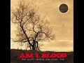 Am I blood songs lies wrote my mysteries & the truth inside
