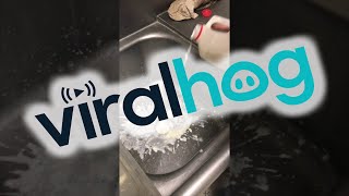 Rotten Food in Cafe Kitchen || ViralHog