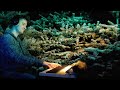 Light Music - meditate, focus, reflect - Dec. 20, 2016