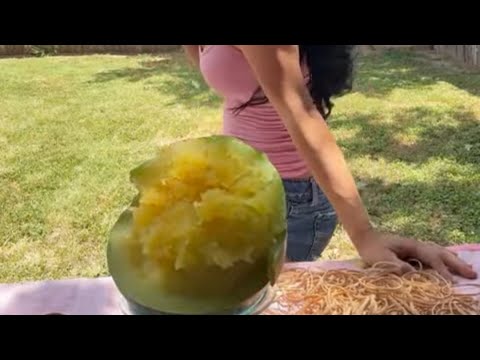 Highlights of Cristal and her pets is live (38:30 - 43:30) Highlights of Cristal and her pets is live (38:30 - 43:30)