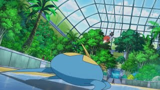 Pokemonfletchling Vs Surskit