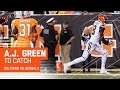 A.J. Green's Unbelievable Leaping Catch &amp; TD Grab! | Dolphins...