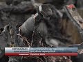 На Євромайдані створили місце для паркування автіво...