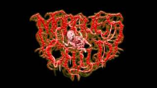 Watch Jungle Rot Strong Shall Survive video
