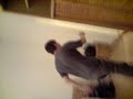 andycruix