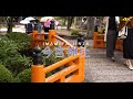 京都今宮神社とあぶり餅［4K］