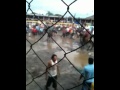 Fiesta patronal Nagarote 2010