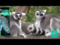 Explore the World: Madagascar