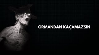 Ormandan Kaçmaya Çaliştiğimiz Korku Oyunu Darkwoodun Hikayesi