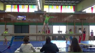 Campeonato Navarro De Gimnasia Artística 2018