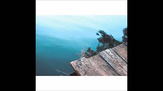 Asher Roth & Bedrooms - Bare Bones Official Version