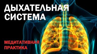 Чистка И Исцеление Лёгких И Бронхов ● Медитативная Практика Оздоровления