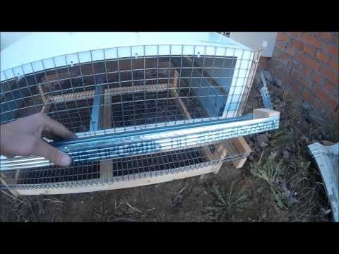 Инкубация перепелиных яиц: режим