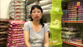 《晨心诚意》2月23日:爱猫义工出海照顾 圣约翰岛上流浪猫