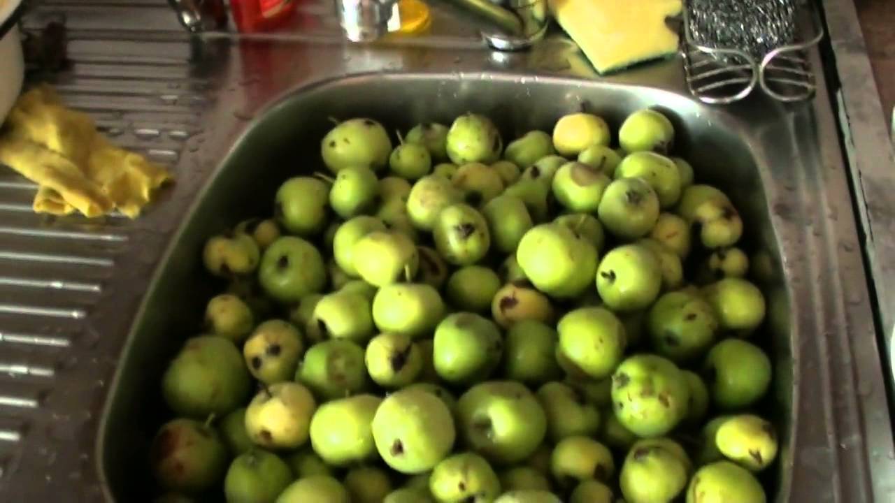 Рецепт Сидр Из Яблок новые фото Рецепт Сидр Из Яблок новые фото