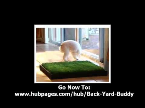 Potty Training Puppies on Dog Potty Training   Back Yard Buddy   Potty Training Puppies Info