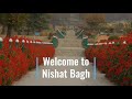 Beautiful Nishat Bagh