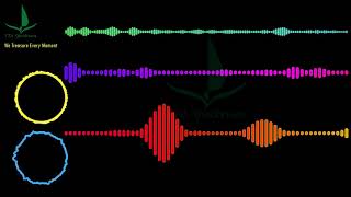 Codeko - Crest #Codeko #Crest [Spectrum Music Visualizer]#MusicVisualizer #House